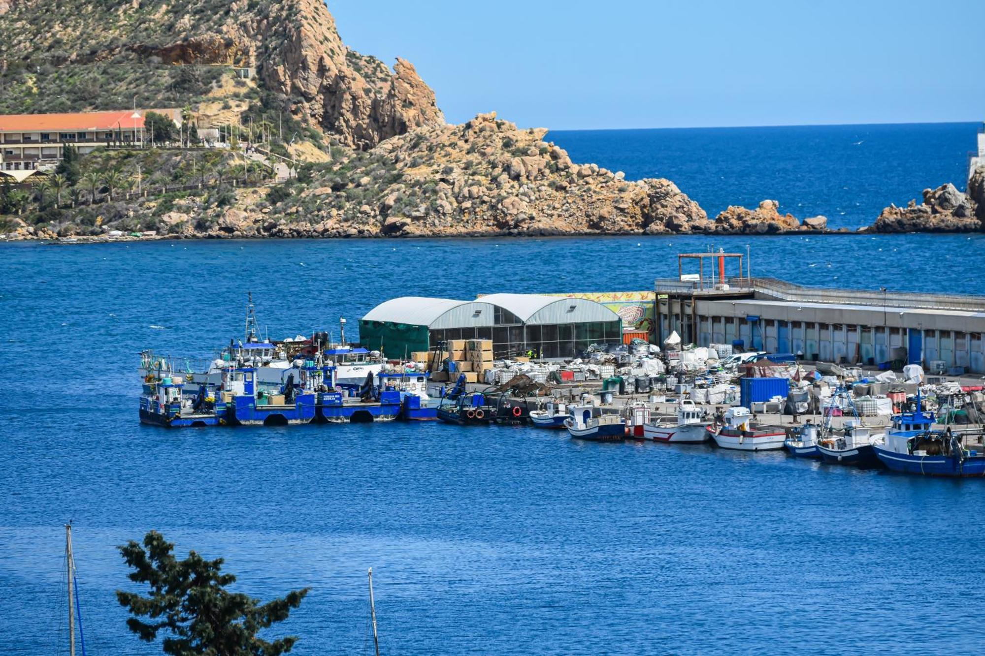 Dream View Aguilas - By Aloha Palma Bagian luar foto