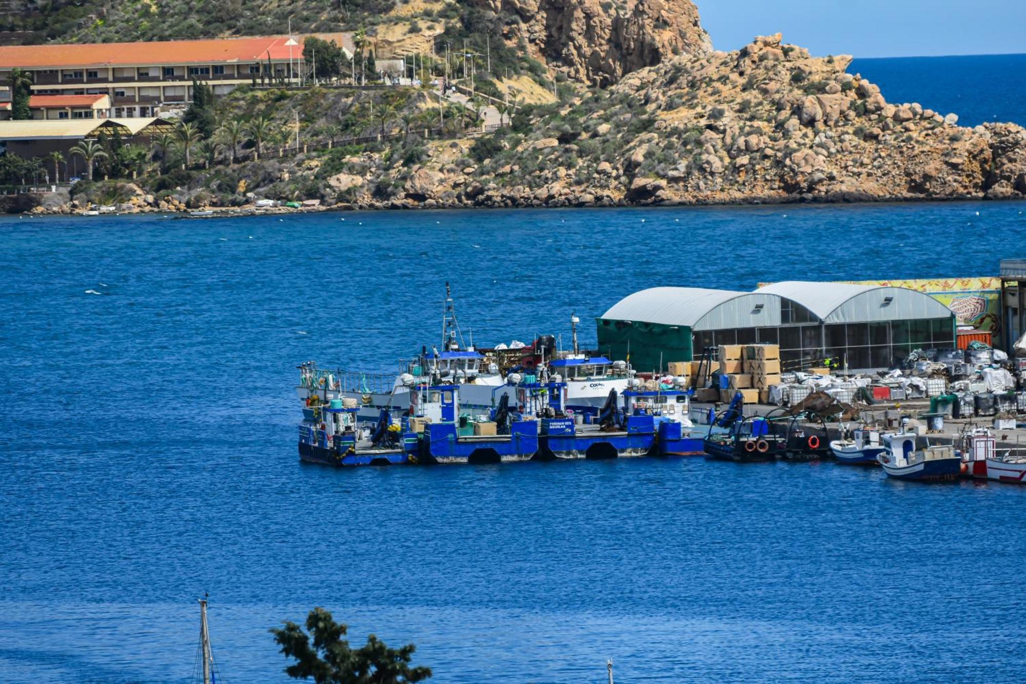 Dream View Aguilas - By Aloha Palma Bagian luar foto